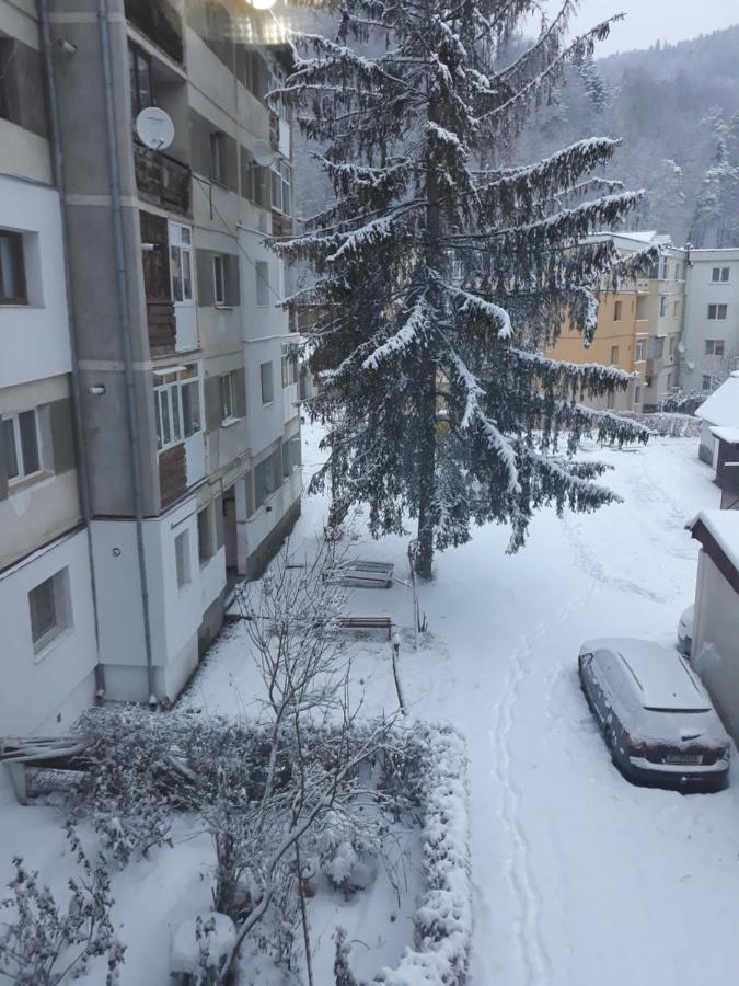 Apartament Aurora 슬래닉몰도바 외부 사진