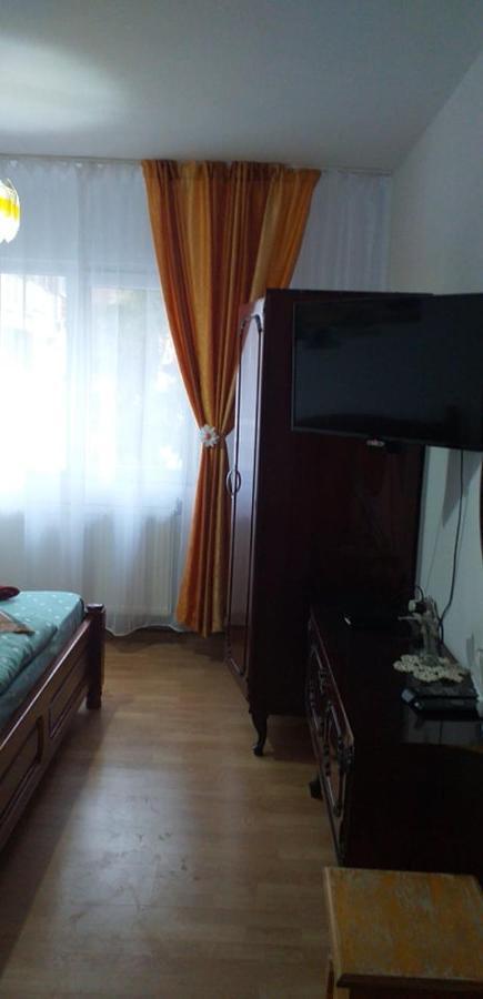 Apartament Aurora 슬래닉몰도바 외부 사진