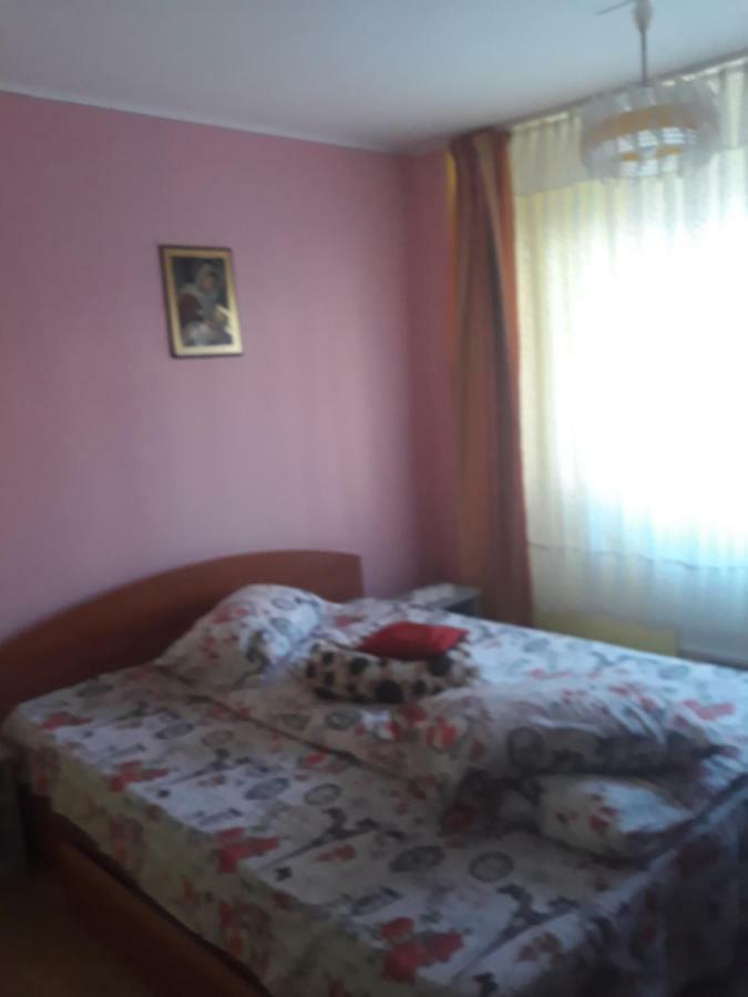Apartament Aurora 슬래닉몰도바 외부 사진